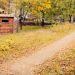 woman walks at rural area
